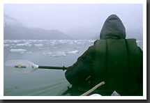 Advancing into Johns Hopkins Inlet