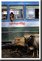 At the Bus Station