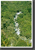 Tropical Creek