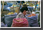 Market Woman
