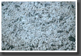 Glacier