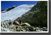 The High Camp