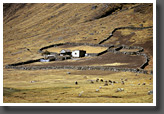 Estancia