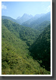 Valley