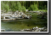 Logjam