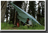 Rainy Picnic