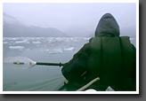 Advancing into Johns Hopkins Inlet
