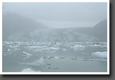 Glacier Bay I