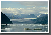 Grand Pacific Glacier