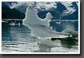 Iceberg