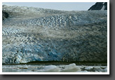 Reid Glacier