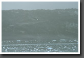 Grand Pacific Glacier