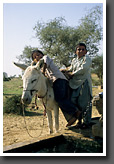 Boys fetching Water from the Well