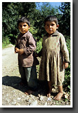 Two Siblings