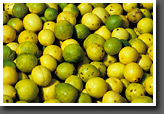 Lemons