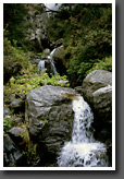 Small Creek