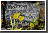 Langtang